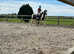 13.2hh cob gelding  10yr old