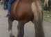 beautiful big bella