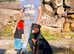 Male Rottweiler for sale