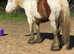 14h mare to make 14.2