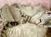Snow Pure Bengal Kittens (Seal Lynx + Seal Mink Point)