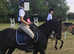 13.2hh BRP gelding