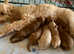 Pick ur red toy poodle up today !!