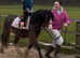 Lead rein/ first ridden pony