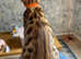 *LAST ONE READY TO GO!* Bengal kittens