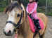 **Beautiful dun registered section A mare**