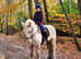 Fantastic horse riding opportunity