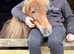 Gorgeous American miniature mare