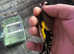 For Sale Goldfinch