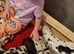 Stunning Pedigree home reared babies
