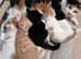 4 kittens