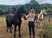 Friesian registered yearling filly.