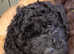 Gorgeous Labradoodles - ready now!