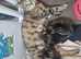 Bengal cross kittens