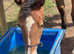 Yearling Filly 16.2hh+ Lusitano x Friesian x ID