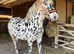 Appaloosa spotted horse gelding 4yrs