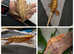 Crested geckos/Axolotls amazing colours and form
