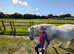 Part Loan 12.1hh DHP