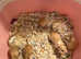5 Baby gerbils