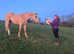 Eye catching Project Mare