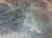 350 ono offers 2 grey pedigree foxfur minilops male female with huch and haye