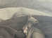 1 beautiful kc Italian greyhound girl looking for her forever home