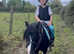 Lead rein , first ridden shetland