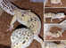 Various leopard geckos for sale