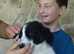 Dido rescue pup Bulgarian sheep dog mix rescued by our vet and cared for in her home