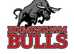 Birmingham Bulls American Football Team 2024 Season Coming Soon!