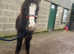 very flashy yearling for sale Adonis