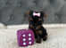 4 beautiful mini Yorkshire terrier girls