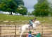 Connemara X mare 15hh