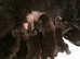Pedigree Newfoundland female puppies