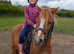 Beautiful kind chestnut pony