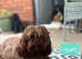 2 beautiful shihpoo's boys left now