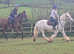 Super happy hack 14.1hh TGCA cob