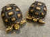 Two sulcata tortoises