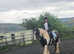 Looking for 14.2/15.2hh 13years + gelding any breed