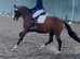 Super small allrounder