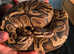 Beautiful python