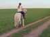 Proper steady eddie 14.2hh gelding