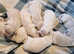Golden retriever puppies for sale