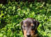 MinPins in Swanley