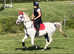 Fizz, 20 year old mare the complete all rounder