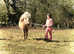 Rideable Falabella Mare with filly foal on foot