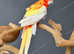 Rubino rosella is a gentle,6