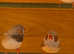 Zebra finch