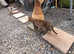 Gorgeous pedigree Bengal for sale