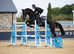 Perfect big horse in all ways
